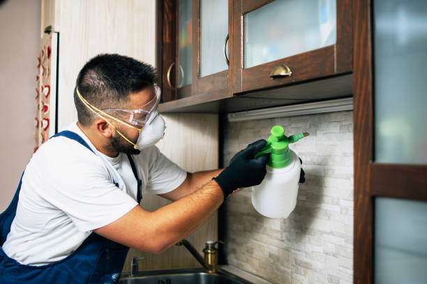 Best Best Pest Control Companies  in Troy, AL