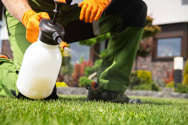 Best Best Pest Control Companies  in Troy, AL