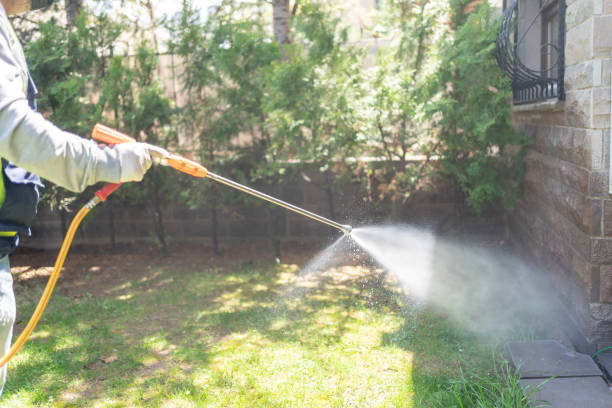 Best Insect Control  in Troy, AL
