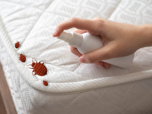 Best Flea Control Services  in Troy, AL