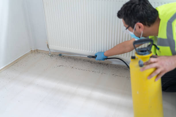 Best Pest Inspection Near Me  in Troy, AL